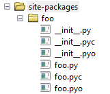foo 模块应该安装或复制到站点包目录。