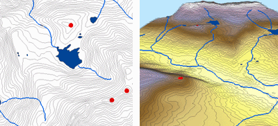 Terrain 元素和生成的“地形转栅格”表面模型