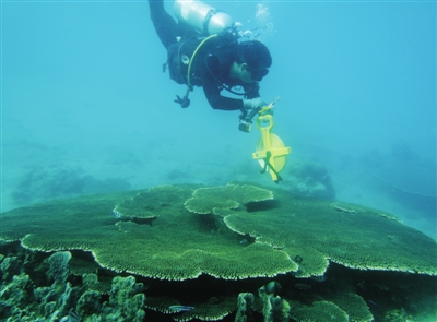 自然资源部南海局开展珊瑚礁生态调查和监测。南海环境监测中心供图